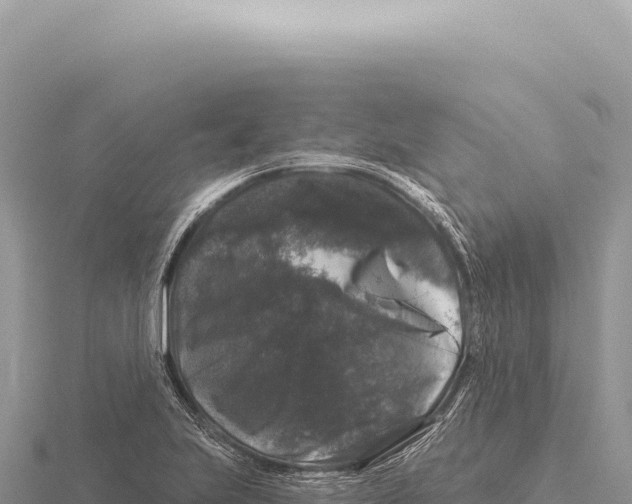 X0000116011223200912171004