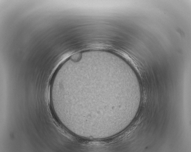 X0000116011227200912171004