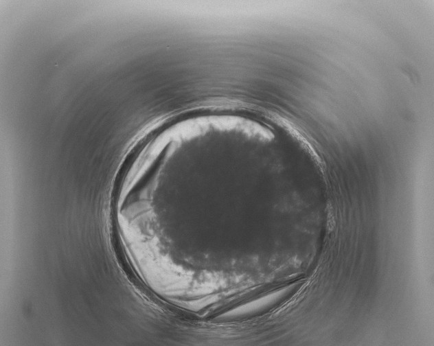 X0000116011229200912171004