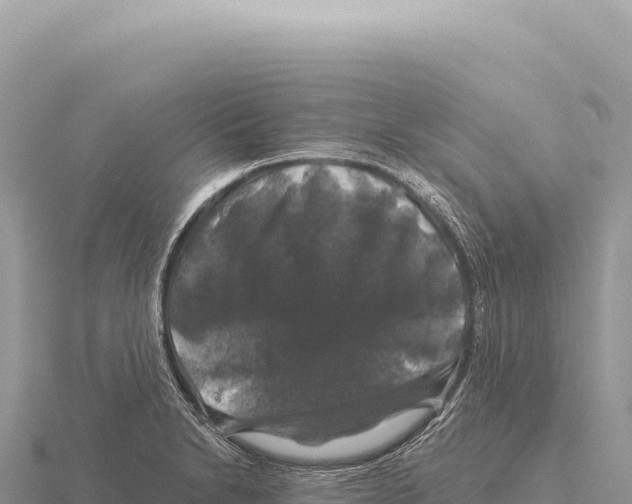 X0000116011230200912171004