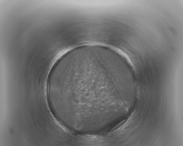 X0000116011231200912171004