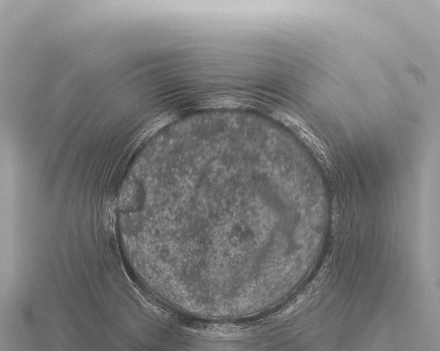 X0000116011233200912171004