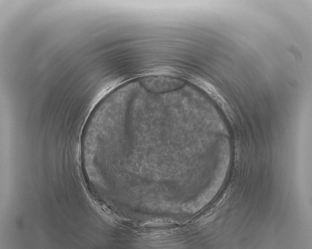 X0000116011234200912171004