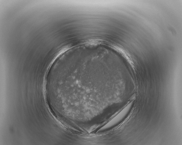 X0000116011235200912171004