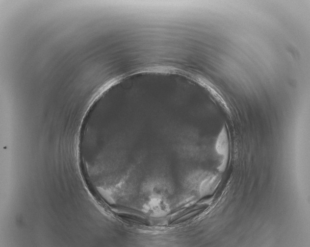 X0000116011237200912171004