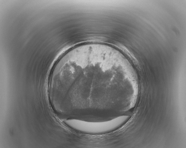 X0000116011240200912171004