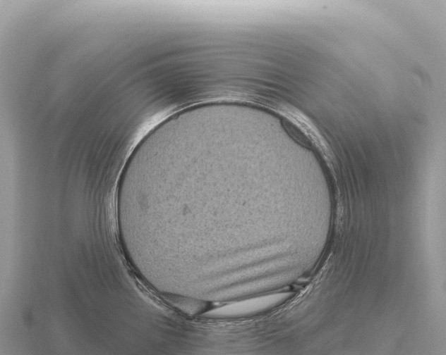 X0000116011242200912171004