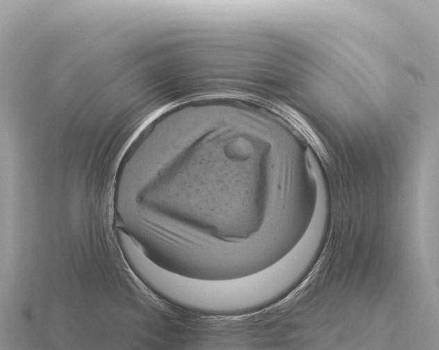 X0000116011244200912171004