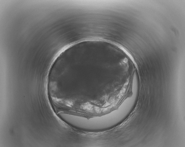 X0000116011245200912171004