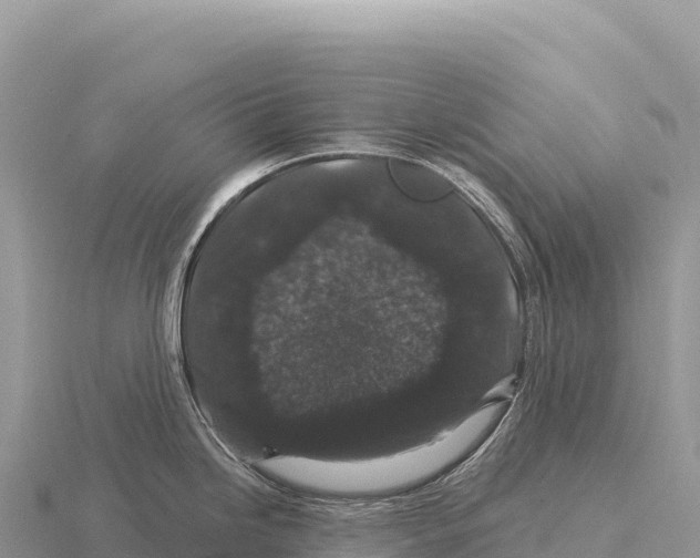 X0000116011246200912171004