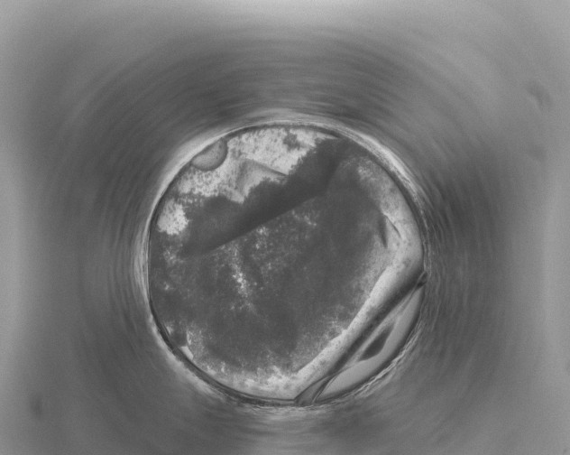 X0000116011247200912171004