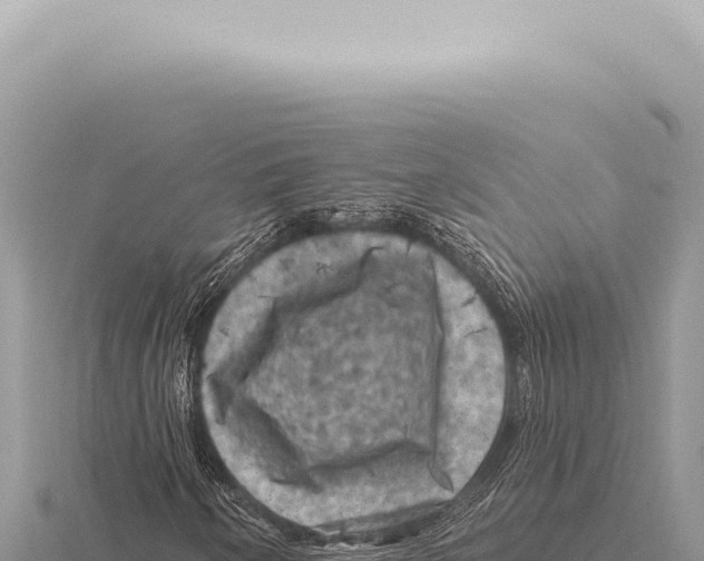 X0000116011250200912171004