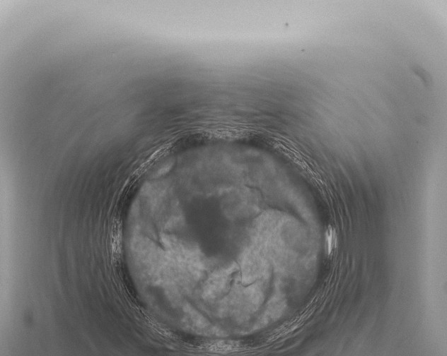 X0000116011251200912171004