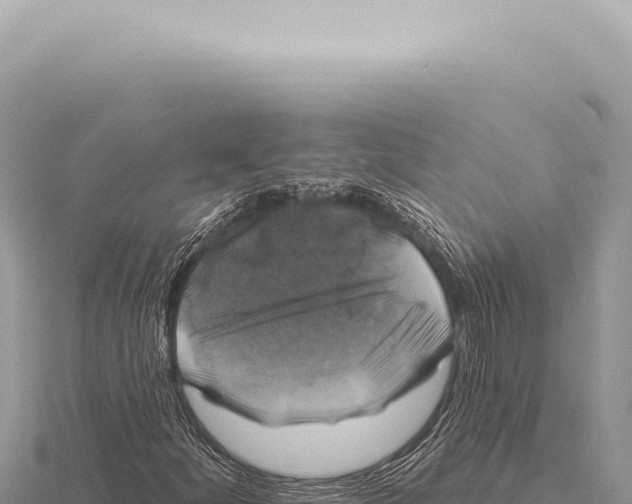 X0000116011252200912171004