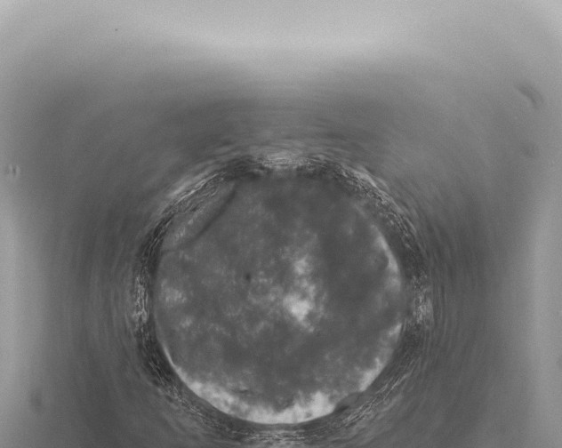 X0000116011253200912171004