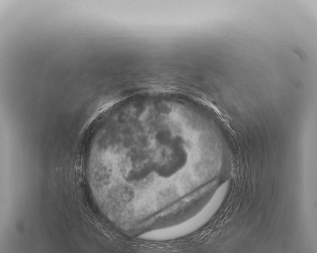 X0000116011255200912171004