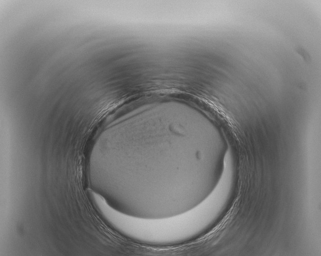 X0000116011257200912171003