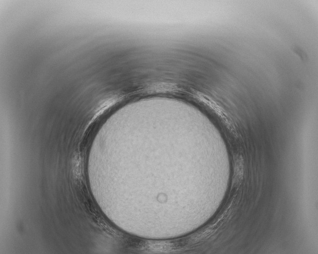 X0000116011258200912171003