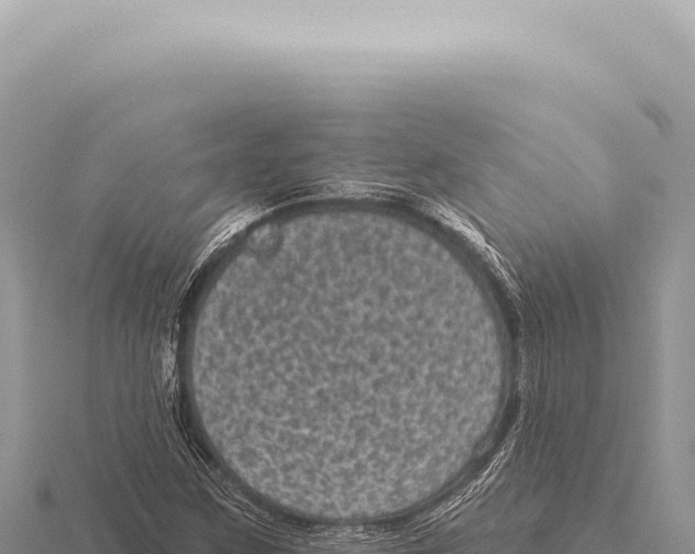 X0000116011259200912171003