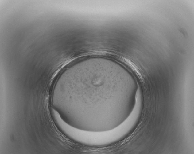 X0000116011260200912171003