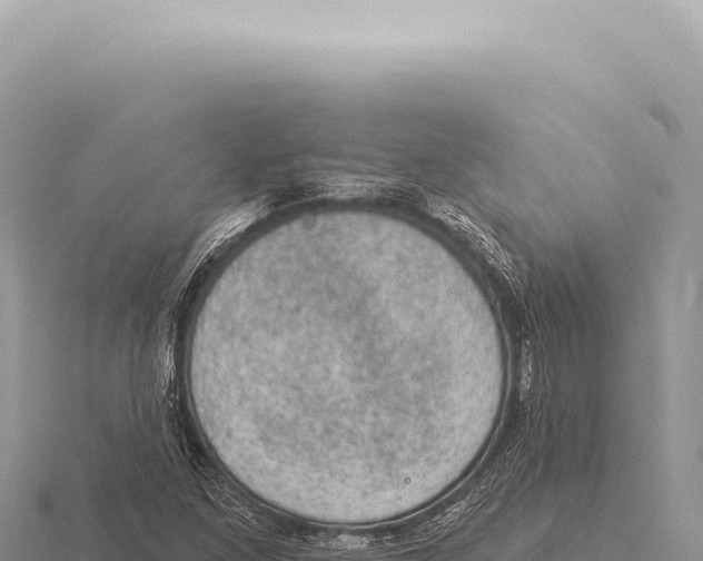 X0000116011261200912171003