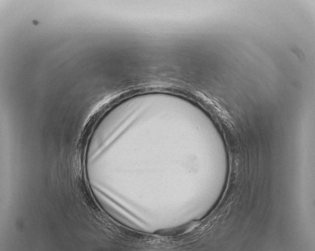 X0000116011262200912171003