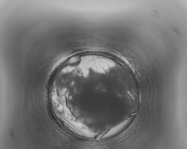 X0000116011263200912171003