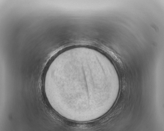 X0000116011264200912171003