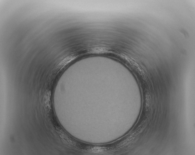 X0000116011265200912171003