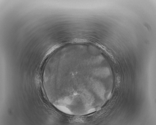 X0000116011266200912171003