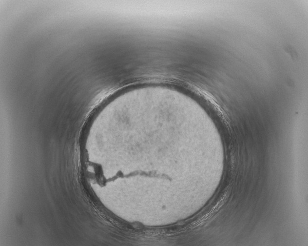 X0000116011267200912171003