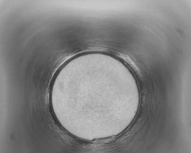 X0000116011268200912171003