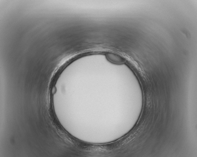 X0000116011270200912171003