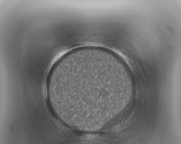 X0000116011271200912171003