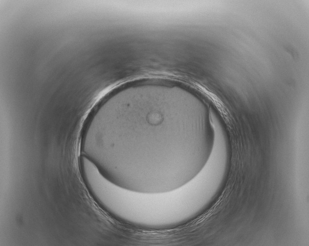 X0000116011272200912171003