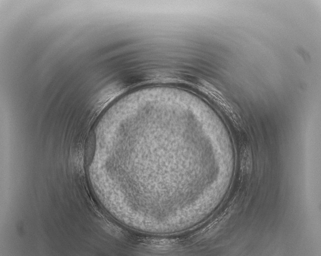 X0000116011273200912171003