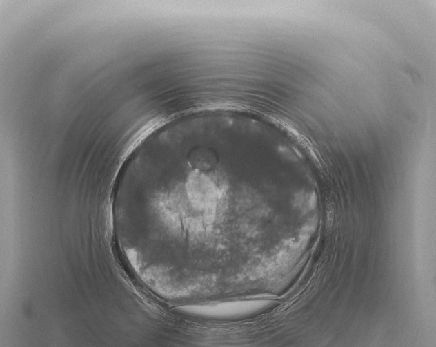 X0000116011274200912171003