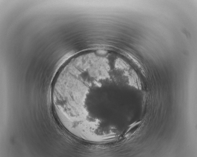 X0000116011275200912171003