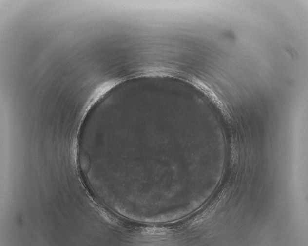 X0000116011277200912171003