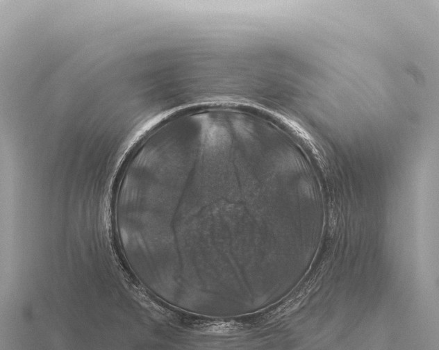 X0000116011279200912171003