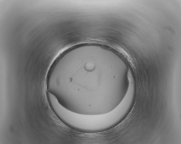 X0000116011280200912171003