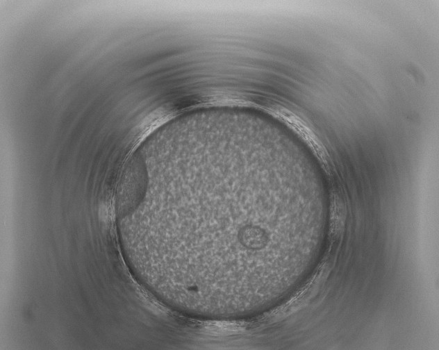 X0000116011281200912171003