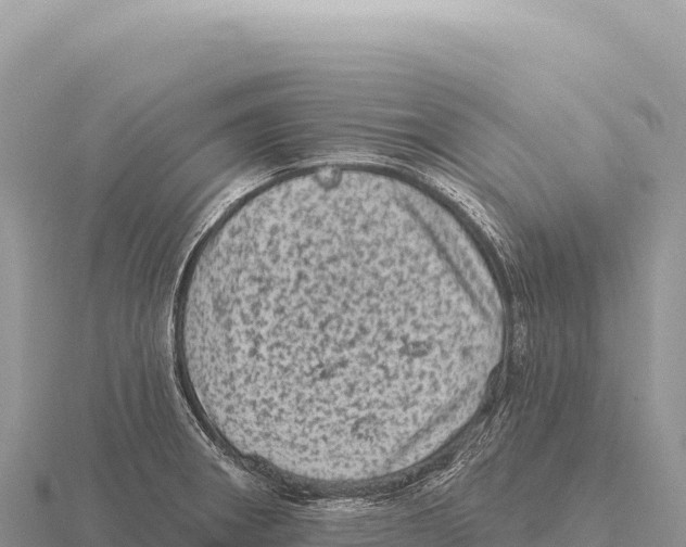 X0000116011282200912171003