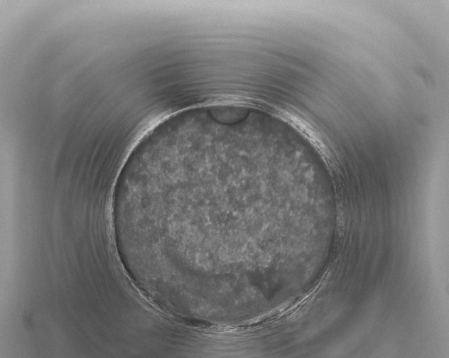 X0000116011283200912171003