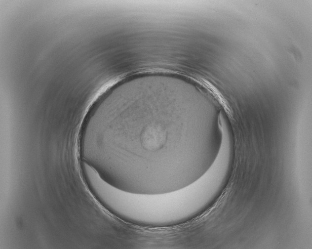 X0000116011285200912171003