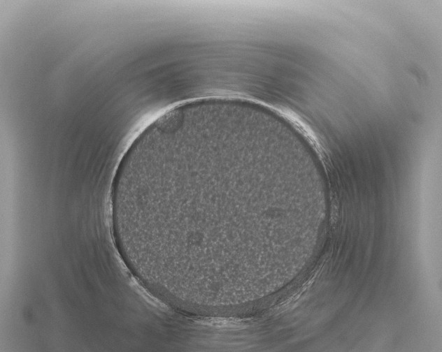 X0000116011287200912171003