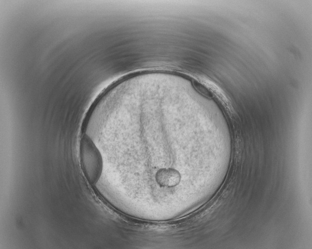 X0000116011288200912171003