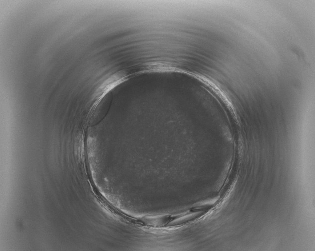 X0000116011289200912171003