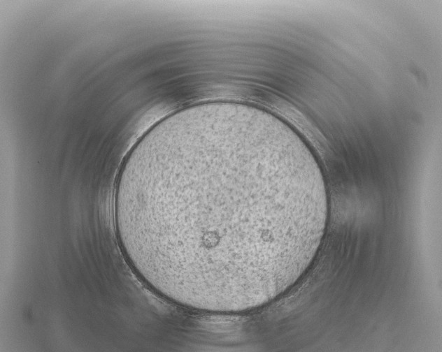 X0000116011290200912171003