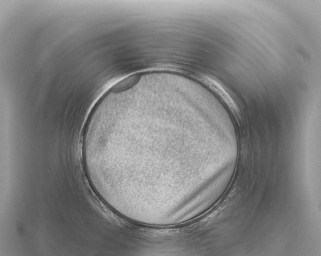 X0000116011292200912171003